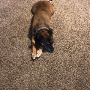 Meet your Posher, Chynna